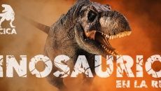 DINO