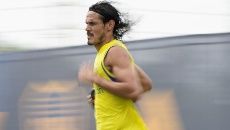 Cavani