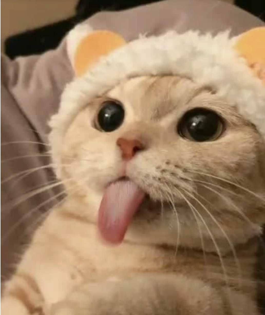Test descripción