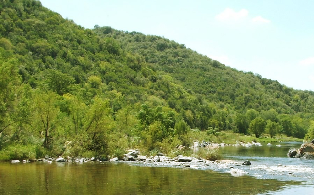 Arboles de las sierras